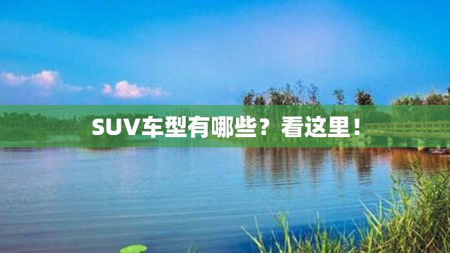 SUV车型有哪些？看这里！