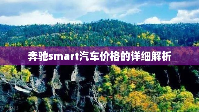 奔驰smart汽车价格的详细解析