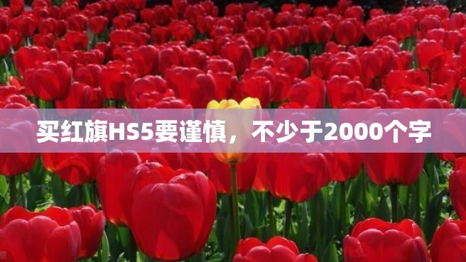 买红旗HS5要谨慎，不少于2000个字