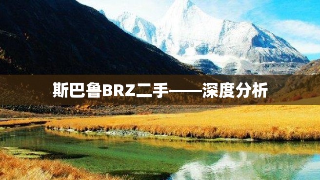 斯巴鲁BRZ二手——深度分析