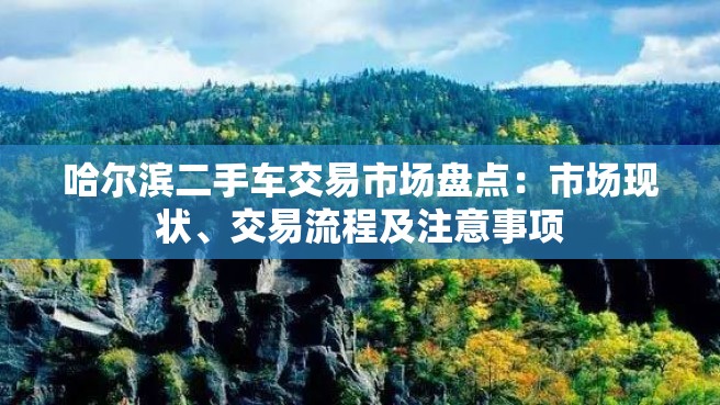 哈尔滨二手车交易市场盘点：市场现状、交易流程及注意事项