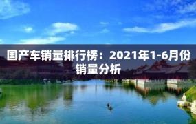 国产车销量排行榜：2021年1-6月份销量分析