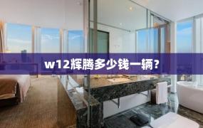 w12辉腾多少钱一辆？