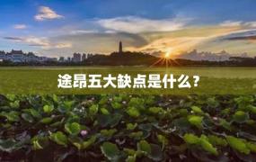 途昂五大缺点是什么？