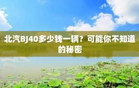 北汽BJ40多少钱一辆？可能你不知道的秘密