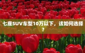 七座SUV车型10万以下，该如何选择？