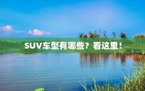 SUV车型有哪些？看这里！