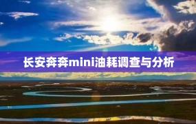 长安奔奔mini油耗调查与分析