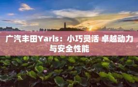 广汽丰田Yaris：小巧灵活 卓越动力与安全性能