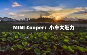 MINI Cooper：小车大魅力