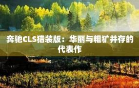 奔驰CLS猎装版：华丽与粗犷并存的代表作