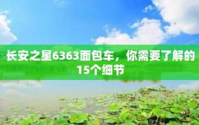 长安之星6363面包车，你需要了解的15个细节