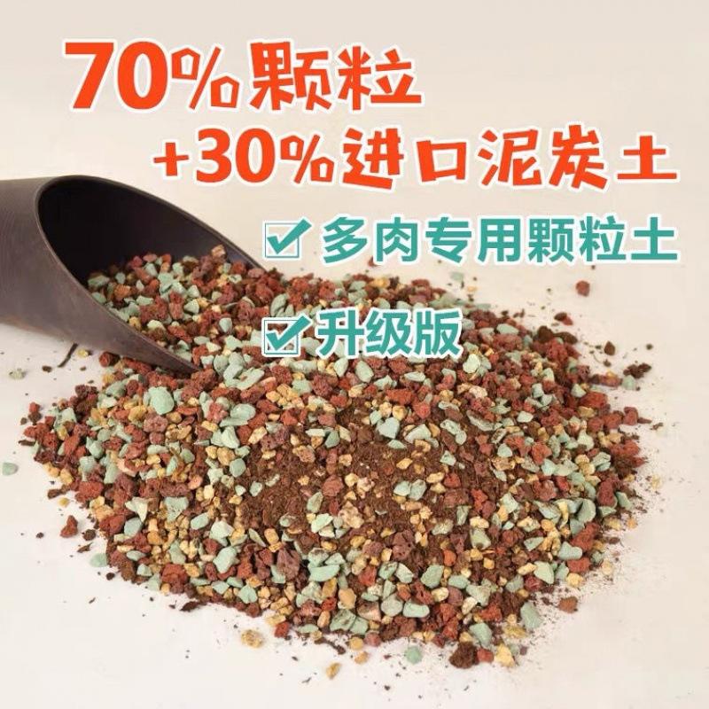 80%颗粒土养多肉好吗