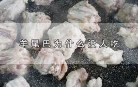 羊尾巴能吃吗(羊尾巴为什么要吸着吃)