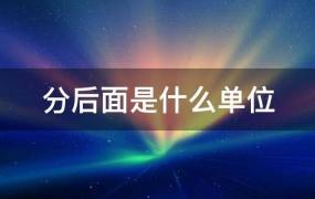 人民币分后面是什么单位(元角分后面是什么单位)