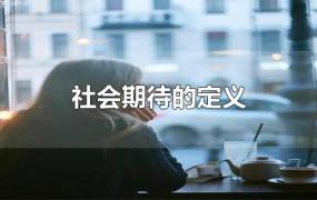 社会期待的定义(社会期待是什么)