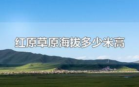 红原草原海拔多少米高(40岁高血压患者可以去吗(红原大草原海拔多少米)