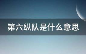 第六纵队是什么意思(六路纵队是什么意思)