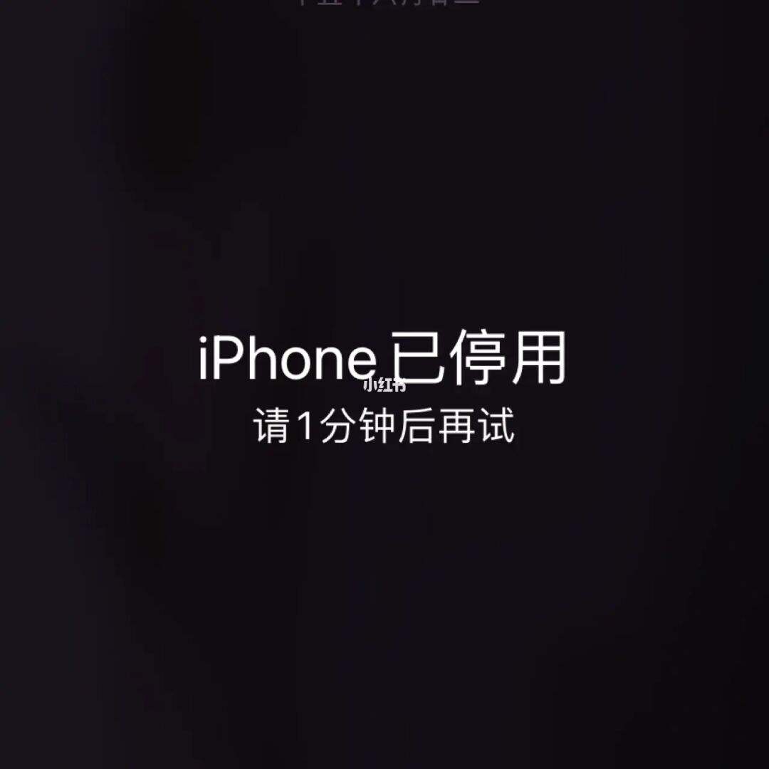 iphone已停用是什么意思介绍