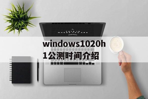 windows1020h1公测时间介绍