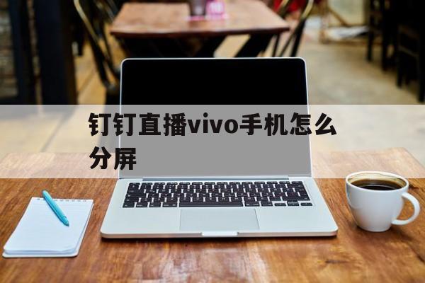 钉钉直播vivo手机怎么分屏