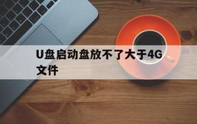 U盘启动盘放不了大于4G文件