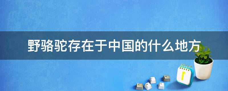 野骆驼存在于中国的哪个地方(当今仅存的野骆驼在中国的什么地方)