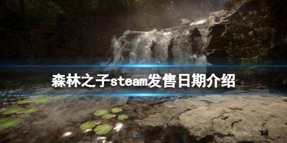 steam森林价格