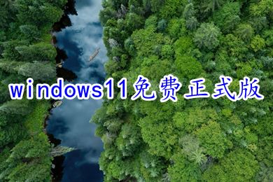 win11下载一直0%解决方法