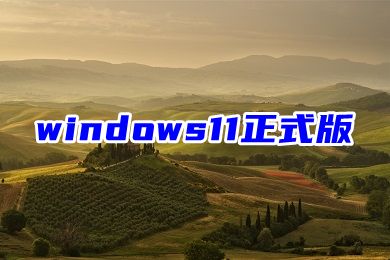 win11安装版本推荐