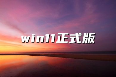 win11安装版本推荐