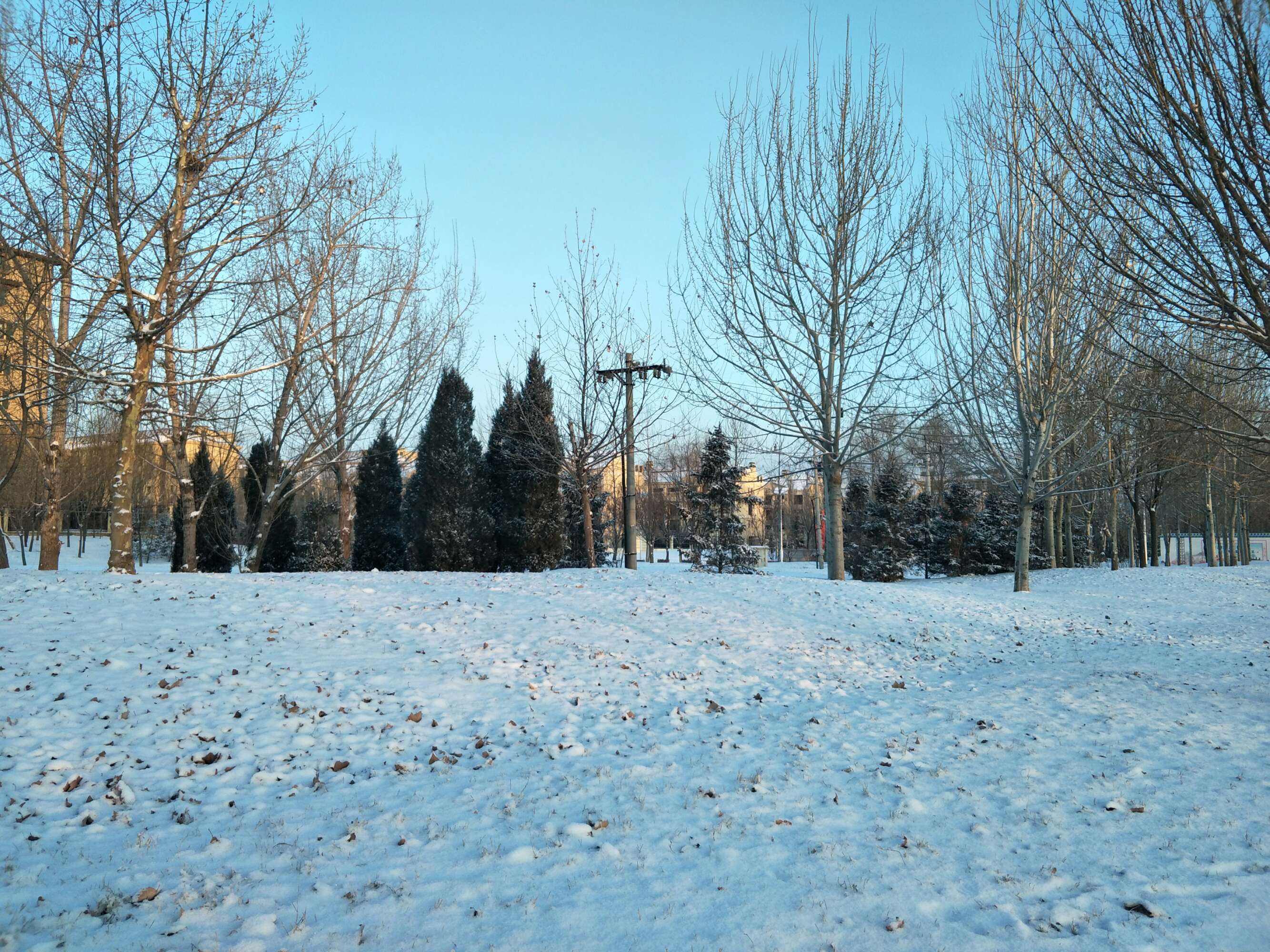 北京会下雪吗