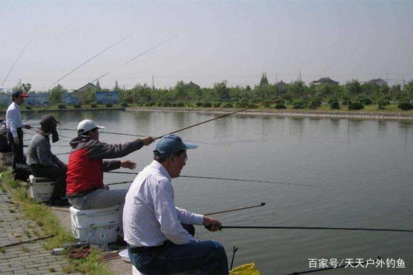 怎样判断黑坑钓鱼好