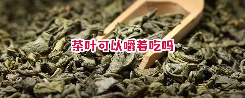 泡茶的茶叶可以直接吃吗