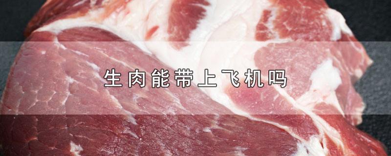 生鸭肉能不能带上客车