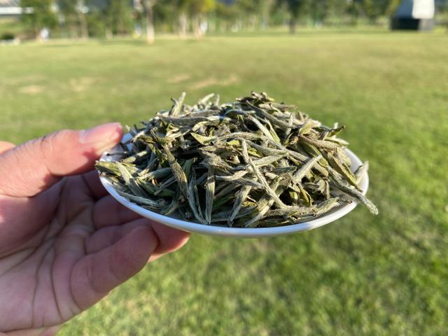 白毛茶之王是什么茶