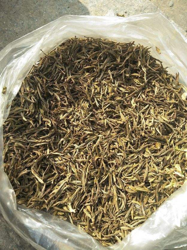 过期的茶能沤肥吗