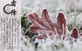 霜降节气吃什么养生