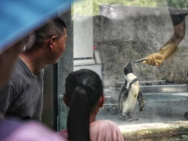 重庆夏天家里怎么降温