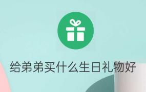 送给儿子什么生日礼物合适