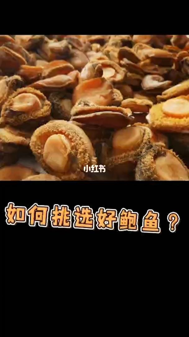 鲍鱼生蚝怎么挑选技巧