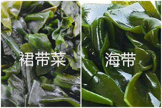 裙带菜的食用方法