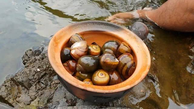 田螺煮多久才熟