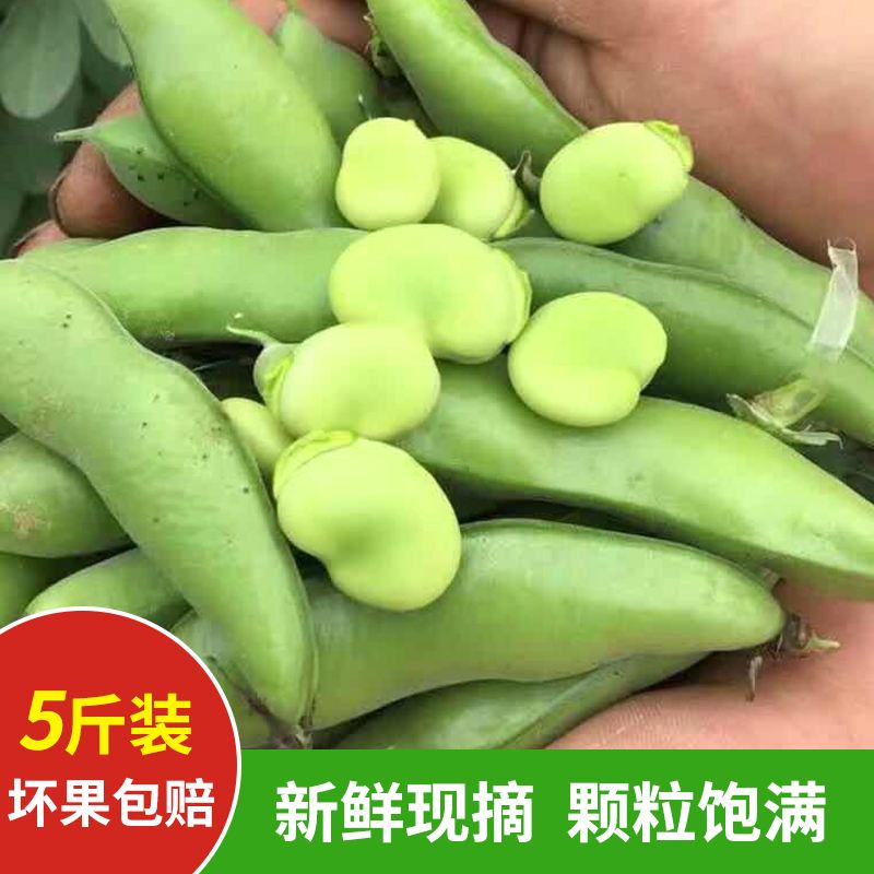 带皮新鲜胡豆煮几分钟