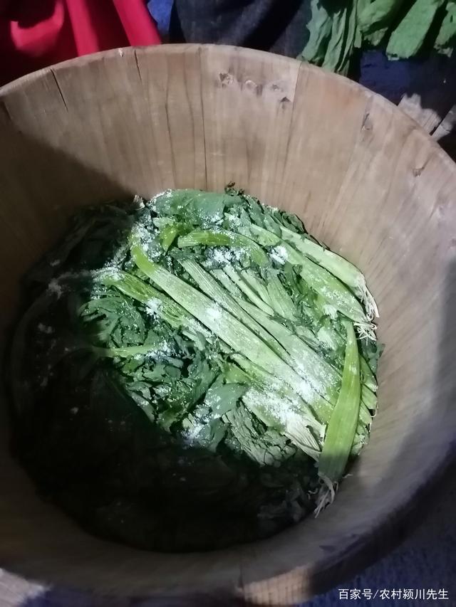 酸菜制作过程