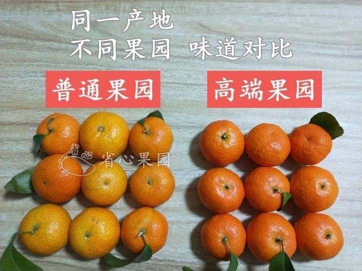 柑橘如何挑甜