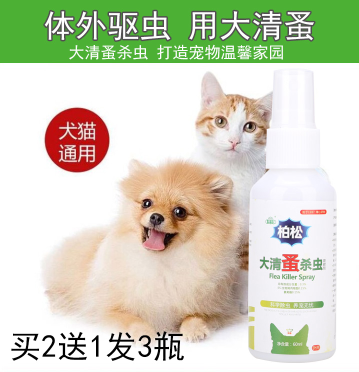 家里有猫虱子怎么去除