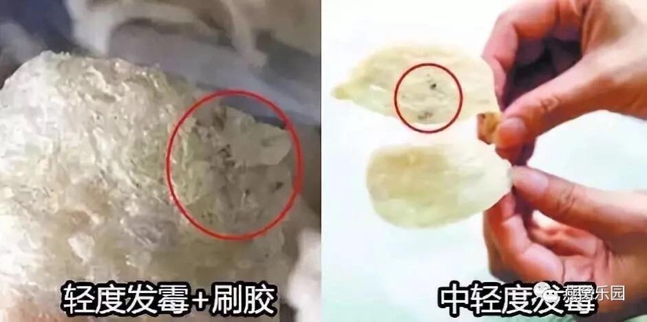 燕窝有发霉味道怎么办