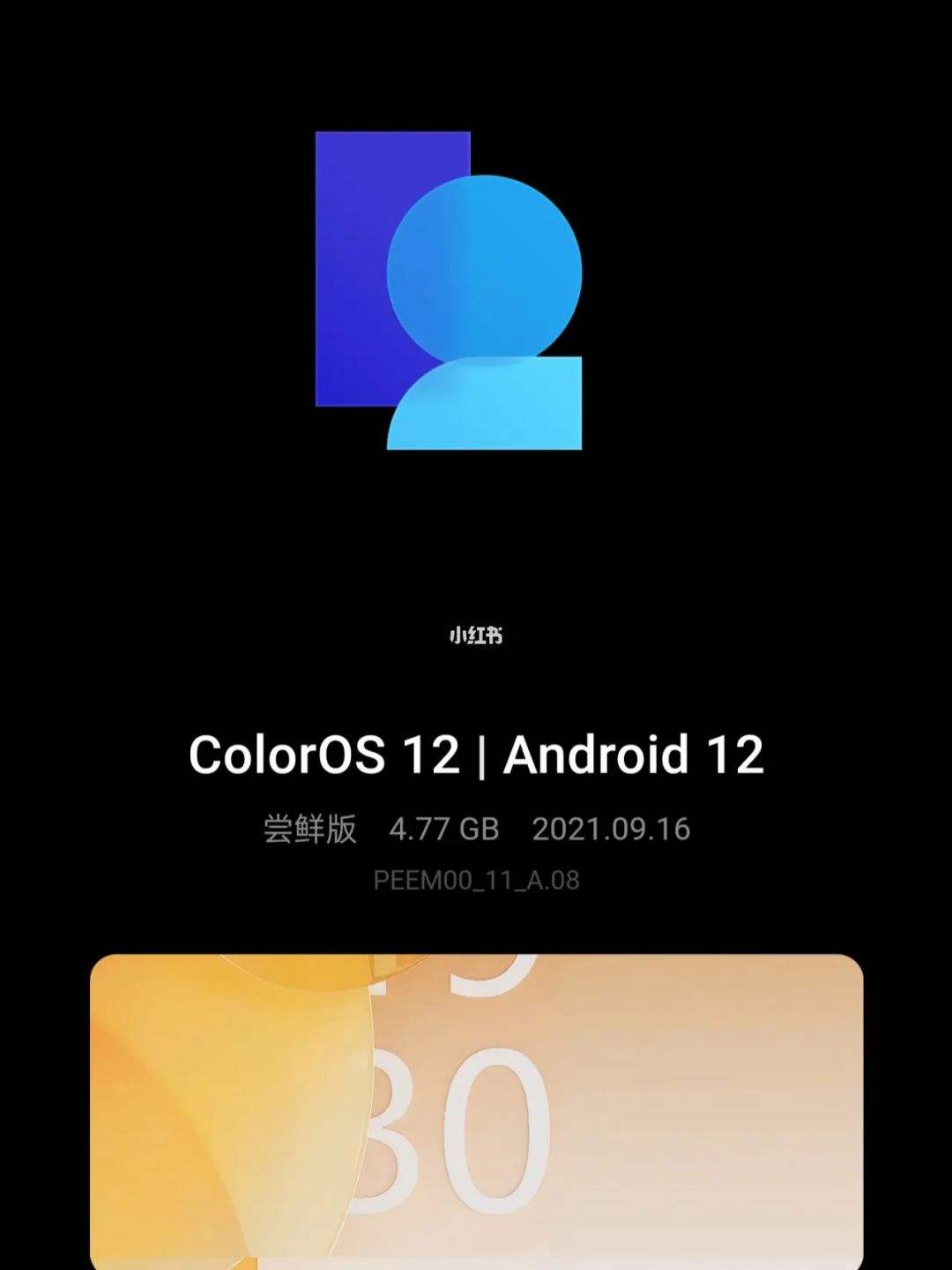 coloros12开发者选项位置