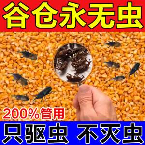 粮食防虫方法